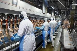 Setor de carnes ajudou a aumentar exportações do Estado (Divulgação/Fiems)