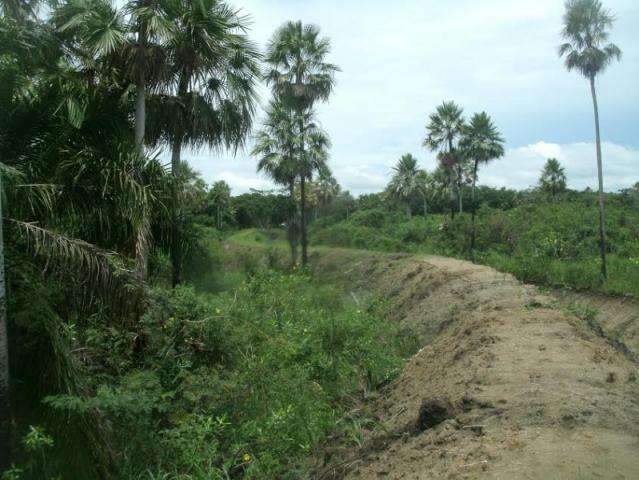 PMA multa em R$ 10 mil pecuarista por construir dique ilegalmente