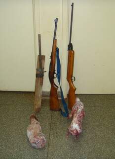 Armas e carne congelada foram encontradas em casa do assentamento.