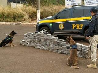 Policiais rodoviários com cães farejadores que ajudaram a localizar carga de cocaína em carreta com milho (Foto: Adilson Domingos)