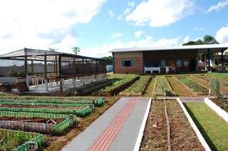 Espaço da agricultura natural foi implementado inclusive com piso tátil (Foto: Pedro Peralta) 