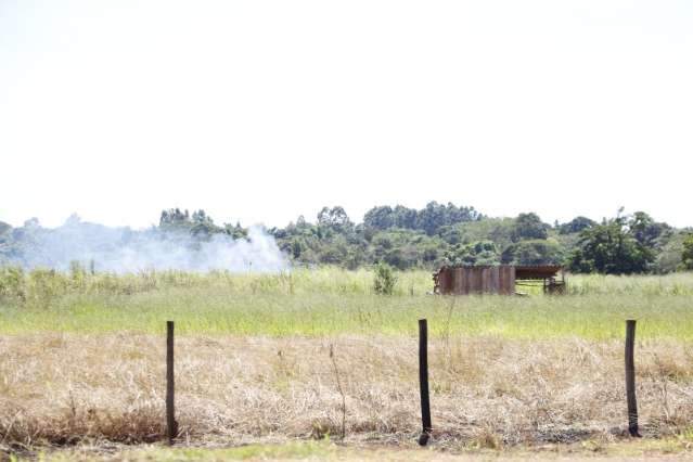 &Iacute;ndios ampliam invas&otilde;es ap&oacute;s STF suspender despejo, dizem sitiantes