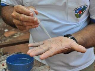 Prefeitura ampliou mutirões contra mosquito que transmite três doenças (Foto: Divulgação)