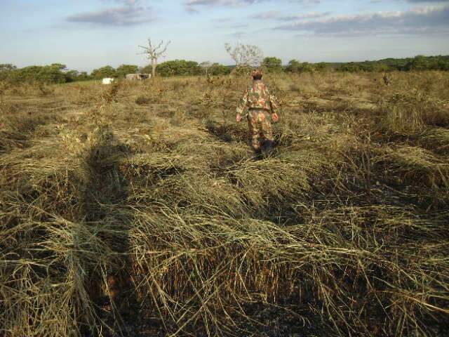  Assentado &eacute; multado por colocar fogo em pastagem e queimar cinco hectares