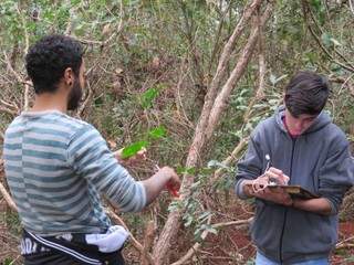 Os alunos fizeram a identificação das árvores da trilha (Foto: Arquivo/E.M.Agrícola Gov. Arnaldo Estevão de Figueiredo)