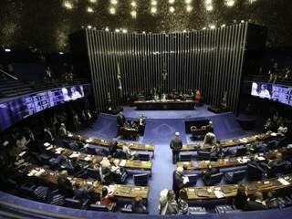 Plenário do Senado. (Foto: Fabio Rodrigues Pozzebom/Agência Brasil)