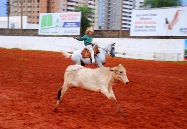 Leil&atilde;o do Cavalo Pantaneiro acontecer&aacute; hoje