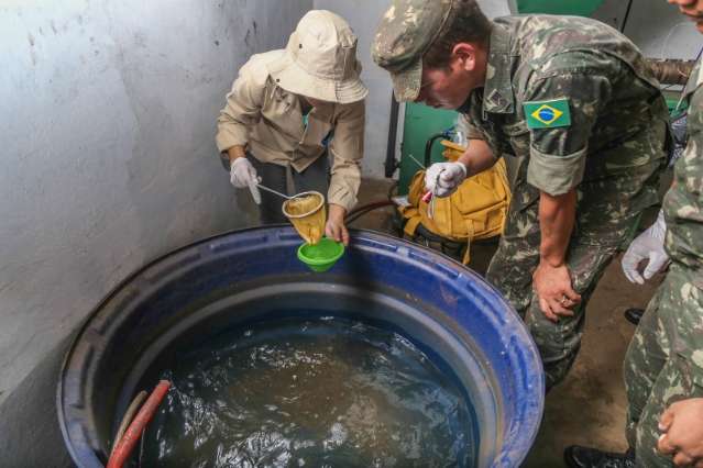 Brasil vai desenvolver teste para detec&ccedil;&atilde;o de zika em bolsas de sangue