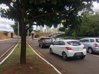 Trânsito na Ricardo Brandão está lento devido a poda de árvore (Foto: Danielle Valentim)