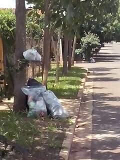 Árvores escoram lixo acumulado há mais de 1 semana em vários bairros. (Foto: Arquivo Pessoal)
