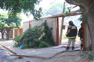 Segundo vizinhos, um galho de árvore caiu sobre a rede elétrica e poderia ser o motivo do incêndio (Foto: Marina Pacheco)
