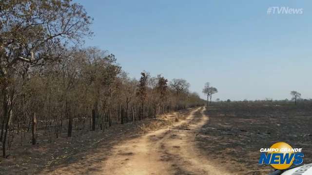 Fazendeiro &eacute; multado em R$ 1,5 milh&atilde;o por inc&ecirc;ndio que destruiu 1,5 mil hectares