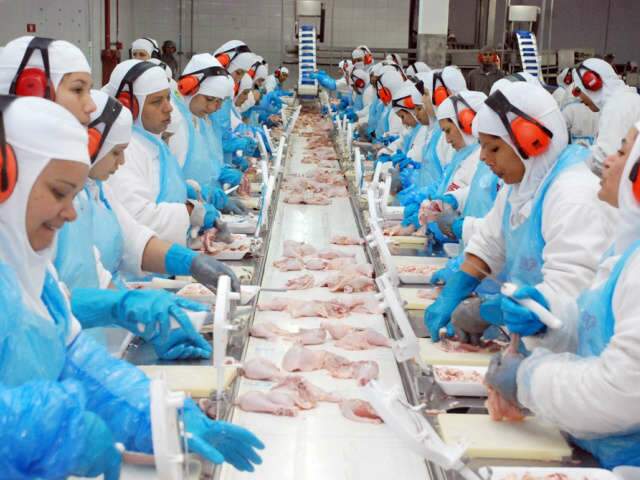  Exporta&ccedil;&otilde;es de industrializados de MS chegam a US$ 2,4 bilh&otilde;es e batem recorde 