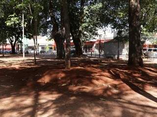 Na Praça Ary Coelho, no Centro de Campo Grande, os formigueiros são encontrados ao redor de árvores e em canteiros sem grama (Foto: Kisie Ainoã)