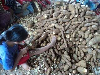 Índia descascando mandiocas para fabricação de farinha. (Foto: Nonato Silva/ Faro Fino)