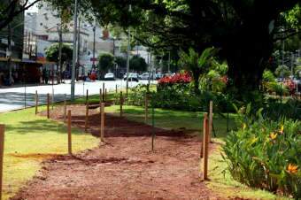  Prefeitura inicia implantação de ciclovia na avenida Afonso Pena