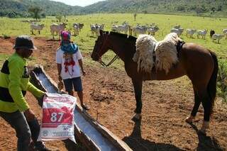 Índios colocam sal no cocho para o gado na Fazenda Primavera (Foto: Marcos Ermínio)