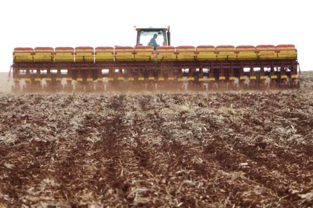 Produtores aproveitam chuva e antecipam plantio da safra de soja