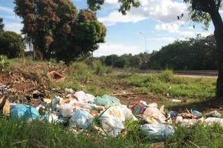 Lixo domiciliar no canteiro ao final da avenida, no Morada Verde (Foto: Marcos Ermínio)