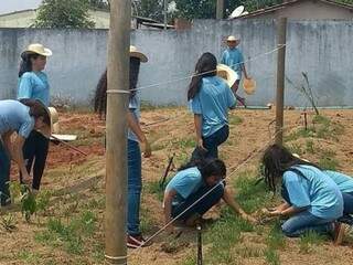 As alunas mexendo no plantio (Foto: Arquivo/escola)