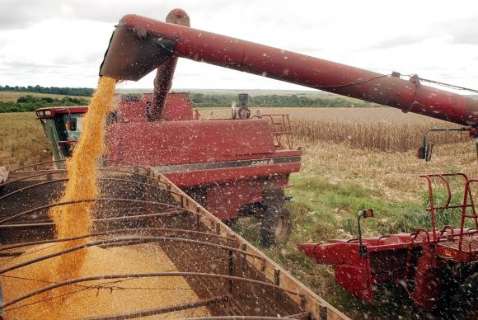 Safra de grãos pode ser 8,4% menor que a de 2015, diz IBGE