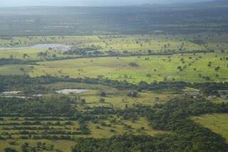 Pantanal é o bioma mais preservado no Brasil (Foto: Marcos Ermínio)