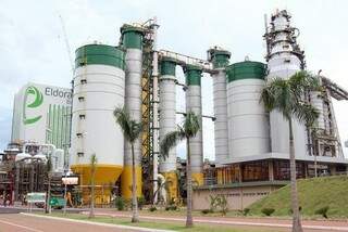 Fábrica funciona na cidade de Três Lagoas, a 338 km de Campo Grande. (Foto: Divulgação)