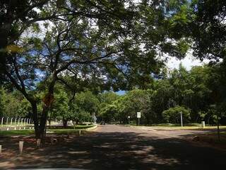 Uma das ruas do Parque dos Poderes, em Campo Grande. A via dá acesso à Assembleia Legislativa de MS. (Foto: Marcos Ermínio).