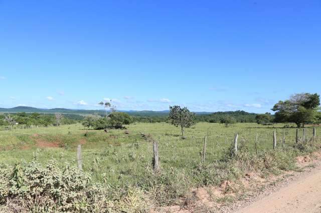 Temer prorroga prazo para cadastro rural; Em MS, 10% est&atilde;o fora de sistema