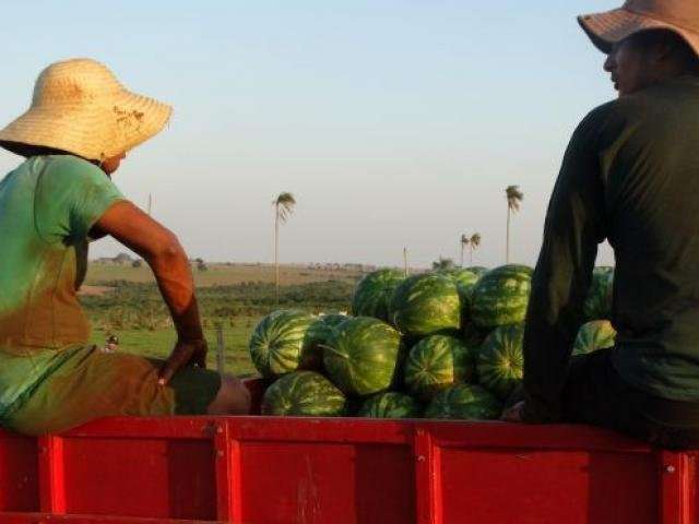 Aux&iacute;lio para quitar d&iacute;vidas do Cr&eacute;dito Fundi&aacute;rio e Banco da Terra vai at&eacute; dia 30