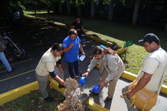 Lad&aacute;rio decreta alerta de sa&uacute;de devido a prolifera&ccedil;&atilde;o do Aedes aegypti