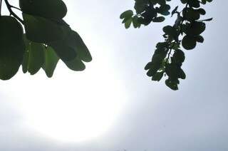 Sul-mato-grossenses vão enfrentar sol forte e calor durante a semana. (Foto: Alcides Neto)