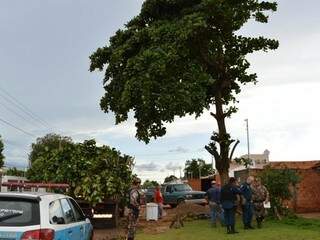 Árvore foi podada sem autorização da prefeitura. (Foto: Luana Rodrigues)
