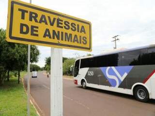 Placa indicando travessia de animais é constantemente desrespeitada (Foto: Marcos Ermínio)