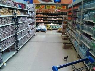 Foto do leitor flagra pombo caminhando pelo corredor do supermercado