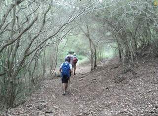 Corrida vai ocorrer em percurso na Serra da Bodoquena (Foto: Divulgação)
