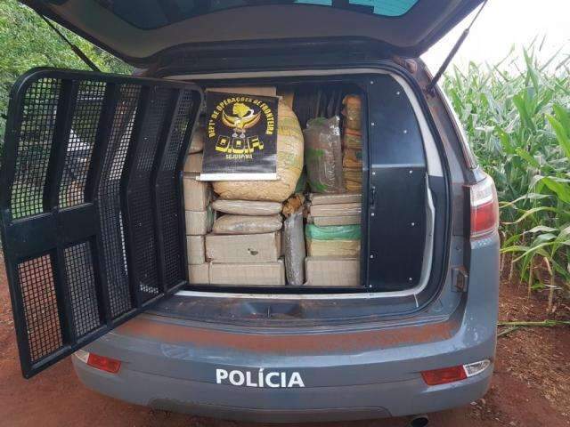 DOF encontra 225 kg de maconha e 18 kg de vers&atilde;o &ldquo;mais forte&rdquo; da droga