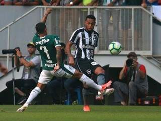 Palmeiras e Botafogo vão jogar neste sábado (Foto: Vitor Silva/Botafogo)