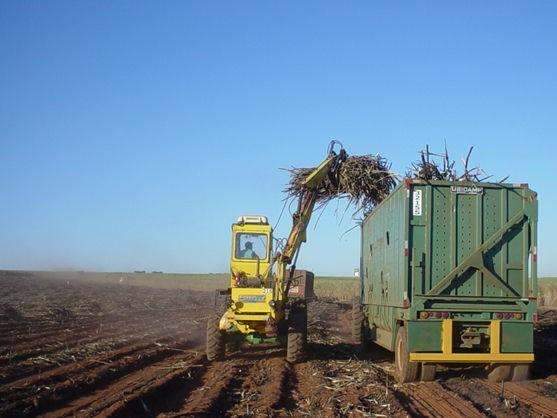 Usina abre vagas para mec&acirc;nico, eletricista e operador de trator 