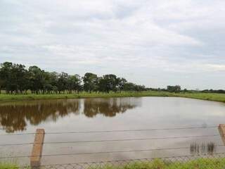 Lagoa onde ocorreu o afogamento do garoto (Foto: Marcos Erminio) 