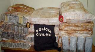 A droga estava dividida em 479 tabletes e estava escondida debaixo de uma lona (Foto: Divulgação Polícia Civil)