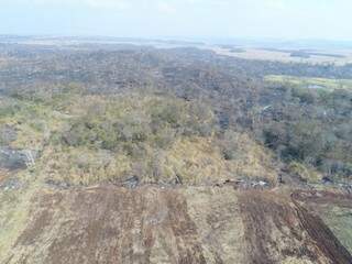 Área devastada pelo produtor rural. (Foto: Divulgação/PMA) 