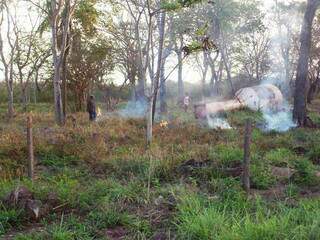 Área incendiada foi encontrada já com meio hectare de mata nativa queimada (Foto: Divulgação)