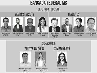Nomes dos deputados federais e senadores de MS. (Arte: Ricardo Oliveira).