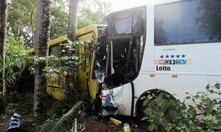 Motorista também bateu ônibus em veículo da Andorinha. (Foto: Divulgação/Polícia Civil)