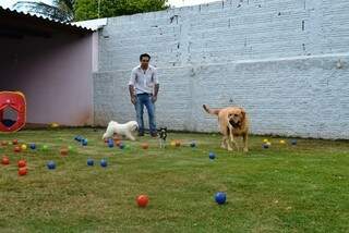 Ao fundo, Thiago brincando com cães em recreação. (Foto: Elverson Cardozo/Arquivo)