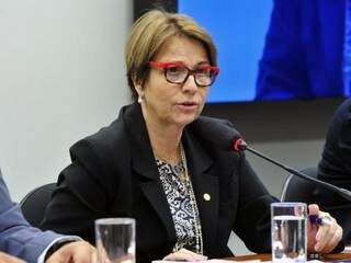 Deputada Tereza Cristina (DEM) durante sessão em Brasília (Luis Macedo / Câmara dos Deputados)
