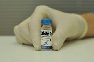 Com proibição da Leishmune, Leishtec é a única opção para imunizar animais contra leishmaniose (Foto: Alcides Neto)