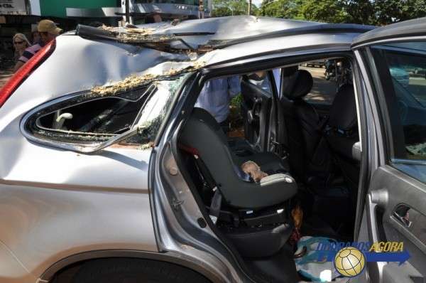 Carro &eacute; atingido por galho de &aacute;rvore podre em avenida de Dourados
