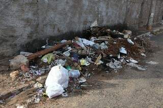 O lixo está atraindo ratos, baratas e virou foco de dengue (Foto: Cleber Gellio)